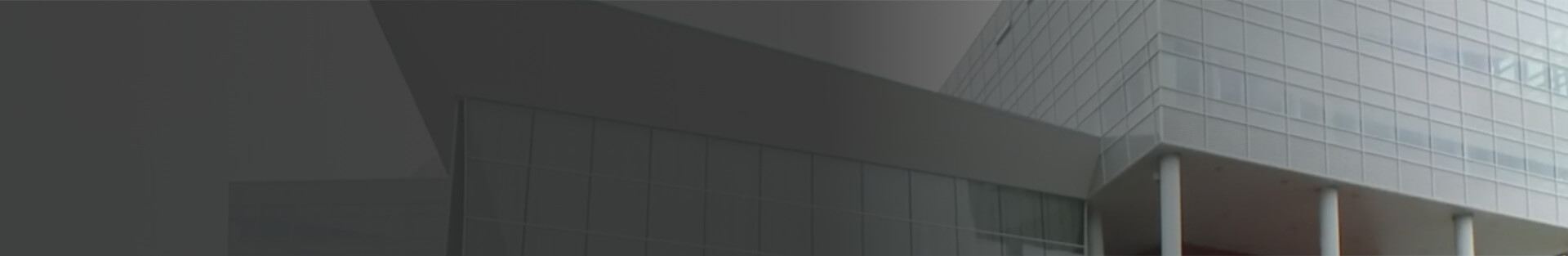 Curtain wall with composite cavity slats