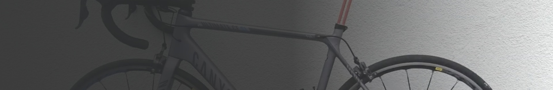 Flexibele zadelpen voor racefietsen